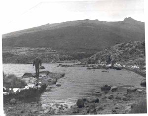 Campbell island