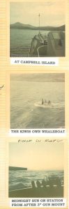Operation Deep Freeze history