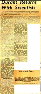 Daily News Article