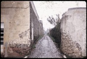 Azores Cart Rd