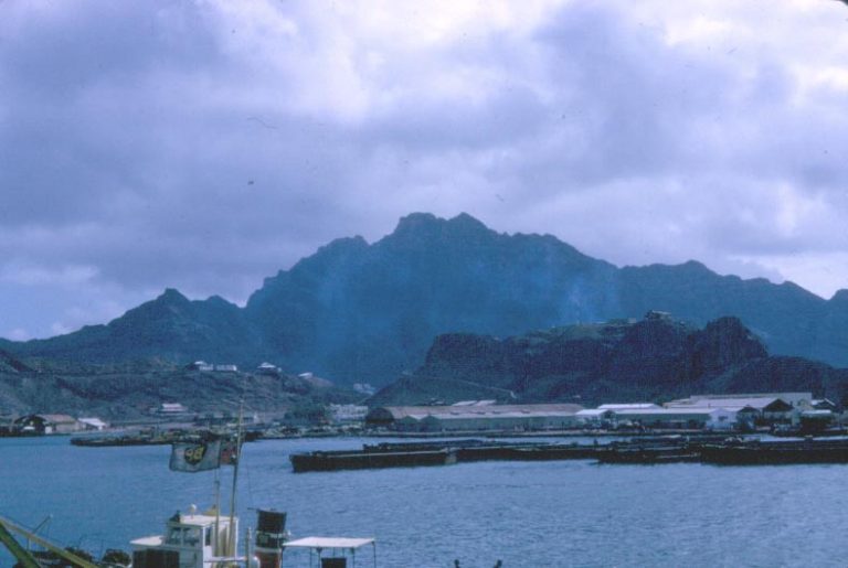 Aden a haven for terrorists for fourty years