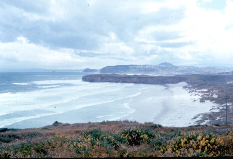 Dunedin Coast