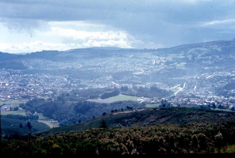 View of Dunedin