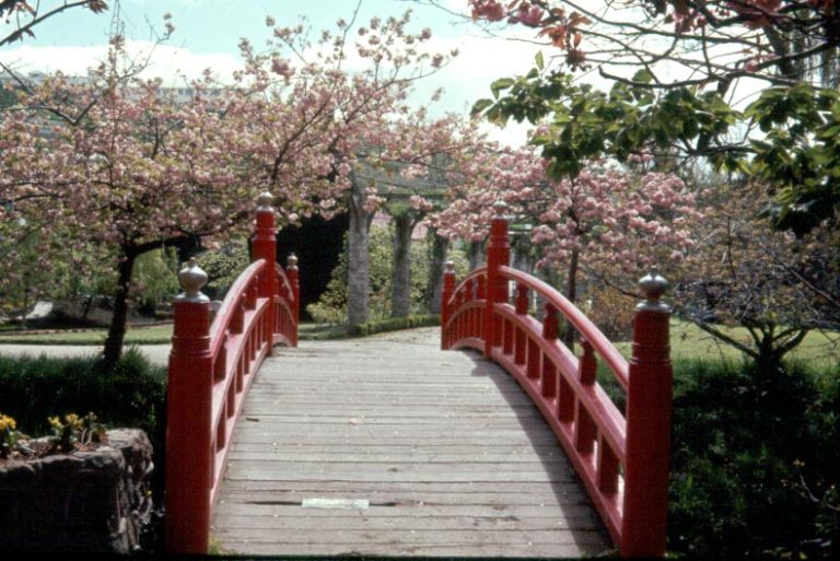 Botanic Gardens