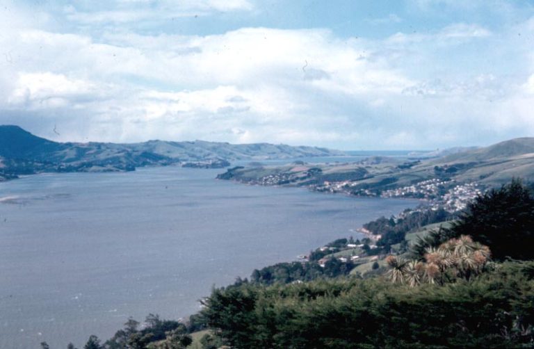 Approaching Dunedin