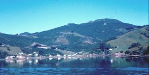 Otago Harbour