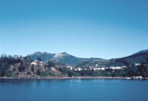 Otago Harbour