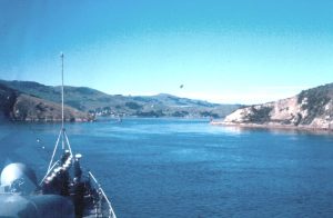 Otago Harbour
