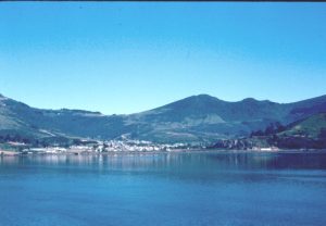Otago Harbour