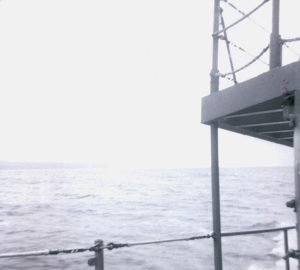 Campbell Island in background