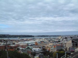Naval history archives online