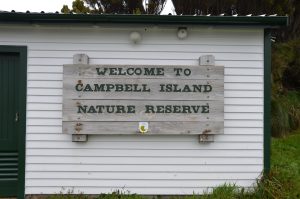 Welcome to Campbell Island