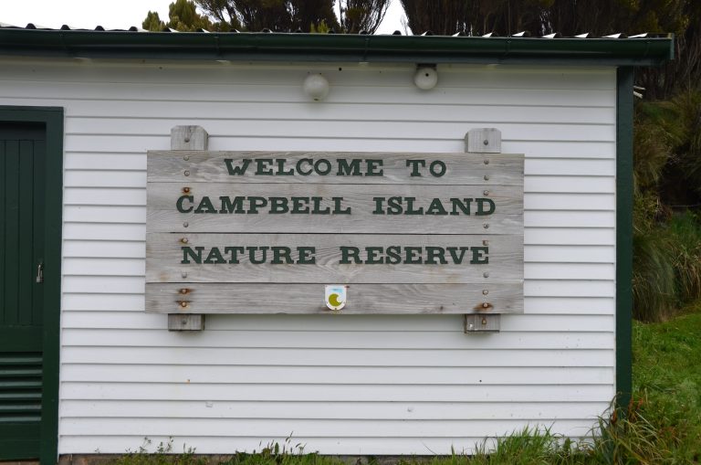 Welcome to Campbell Island