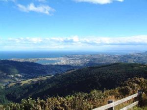 Dunedin Mt Cargill