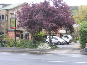 Picture of Calcaterra
