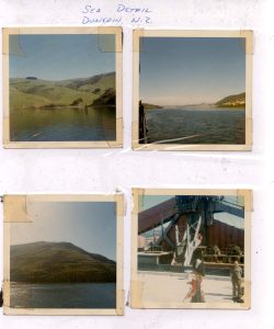 Otago Harbour and being greeted in Dunedin