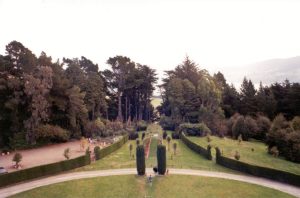 The gardens at Larnach Castle