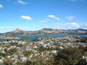 Looking towards Larnach Castle