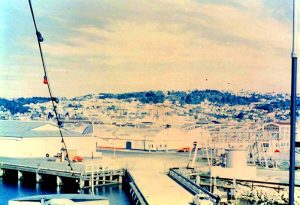 Mast Shot of Dunedin