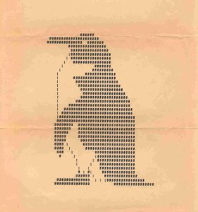 Murray Penguin