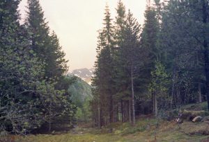 Norway Ski Jump