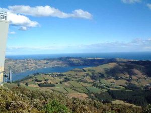 The harbour from Mt Cargill