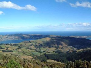 Another view of Dunedin from Mt Cargill