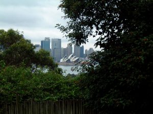 Sydney Opera House as seen from Taronga Zoo