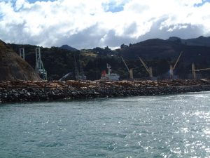 Logs being shipped to Japan from Port Chalmers