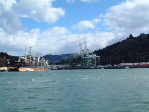 Port Chalmers wharves