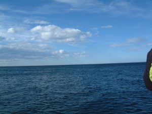 Looking out to sea from Taiaroa Head