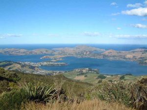 Looking towards Port Chalmers and to sea from Mt Cargill