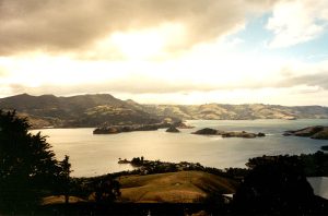 Port Chalmers and Otago Harbour Deep Freeze
