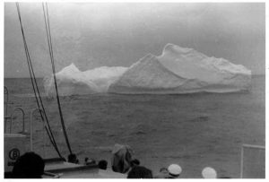 Rotoiti Iceberg