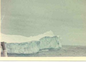 Iceberg