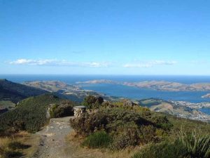 Tairora Head Mt Cargill