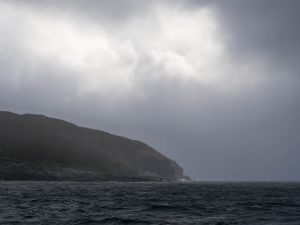 Landfall Campbell Island