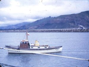 Picture of Calcaterra