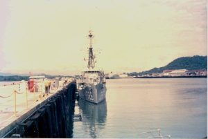 lee dunedin