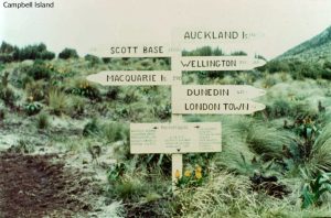 This sign was found on Campbell Island
